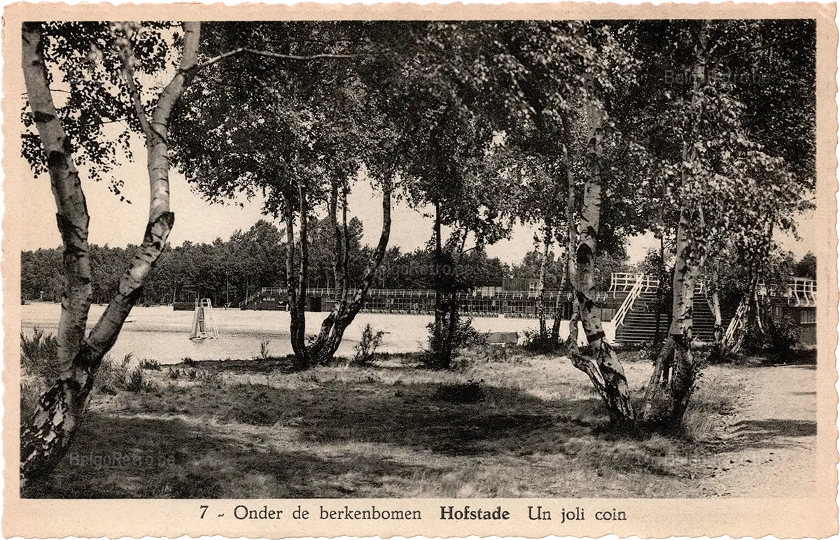 7 - Onder de berkenbomen HOFSTADE Un joli coin   Reproduction strictement interdite. Edit. : L’Hembeekoise, Bruxelles. 