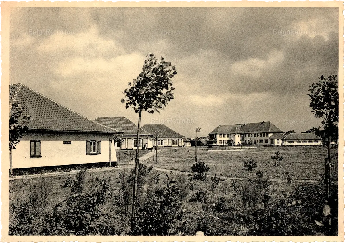   Vacantiecentrum ’’ZON en ZEE’’ V.Z.W.B. WESTENDE Tel. : Nieuwpoort 234.90 Algemeen zicht. Paviljoenen. Vue générale. Pavillons.  Ern. Thill, Brussel 