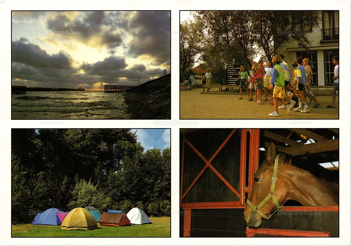  Zon en Zee zon en zee Vakantiestraat 1 8434 Middelkerke-Westende tel. 058/23 50 51 - fax. 058/23 78 75   