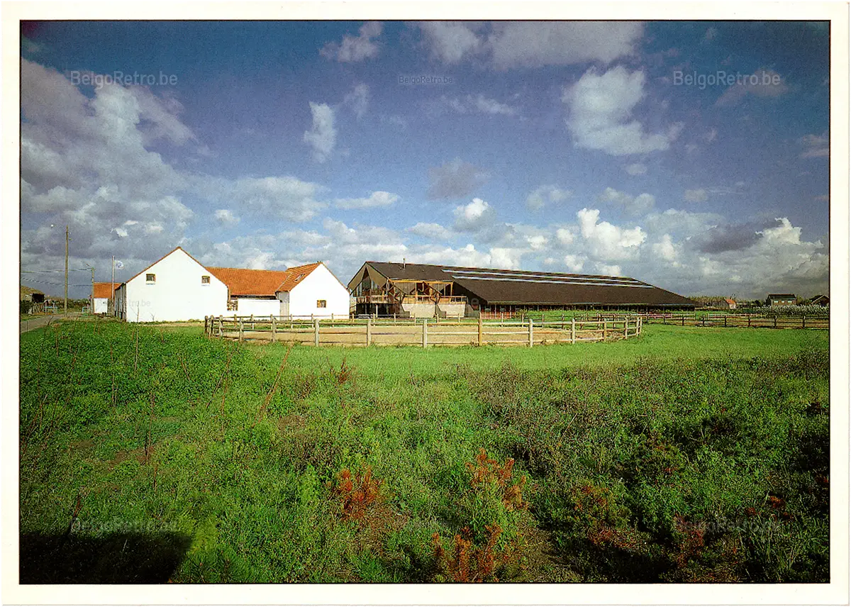  Zon en Zee zon en zee Vakantiestraat 1 8440 Middelkerke-Westende tel. : 058/23 50 51   