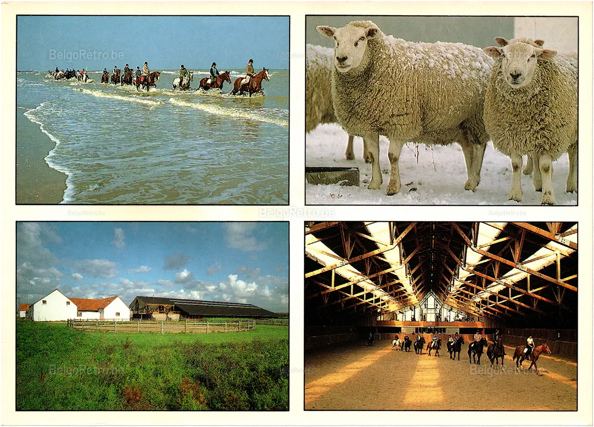  Zon en Zee zon en zee Vakantiestraat 1 8440 Middelkerke-Westende tel. 058/23 50 51   