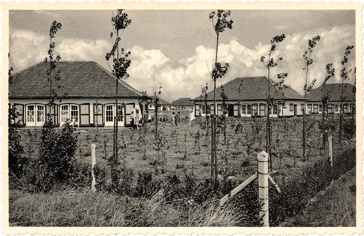   Westende ’’Zon en Zee’’ Cottages.  Ern. Thill, Bruxelles, G.D. 