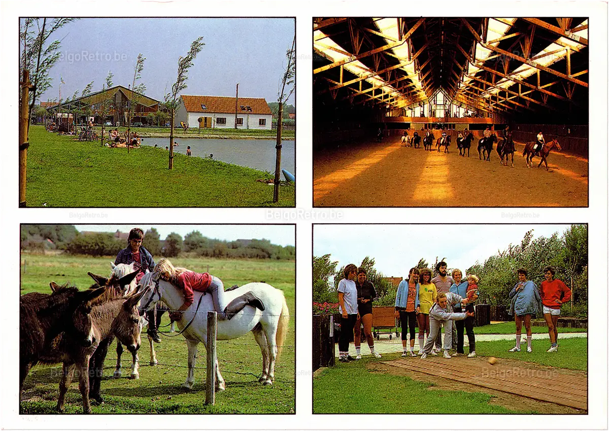  Zon en Zee vakantiedorp zon en zee Vakantiestraat 1 8440 Middelkerke-Westende tel. : 058/23 50 51   