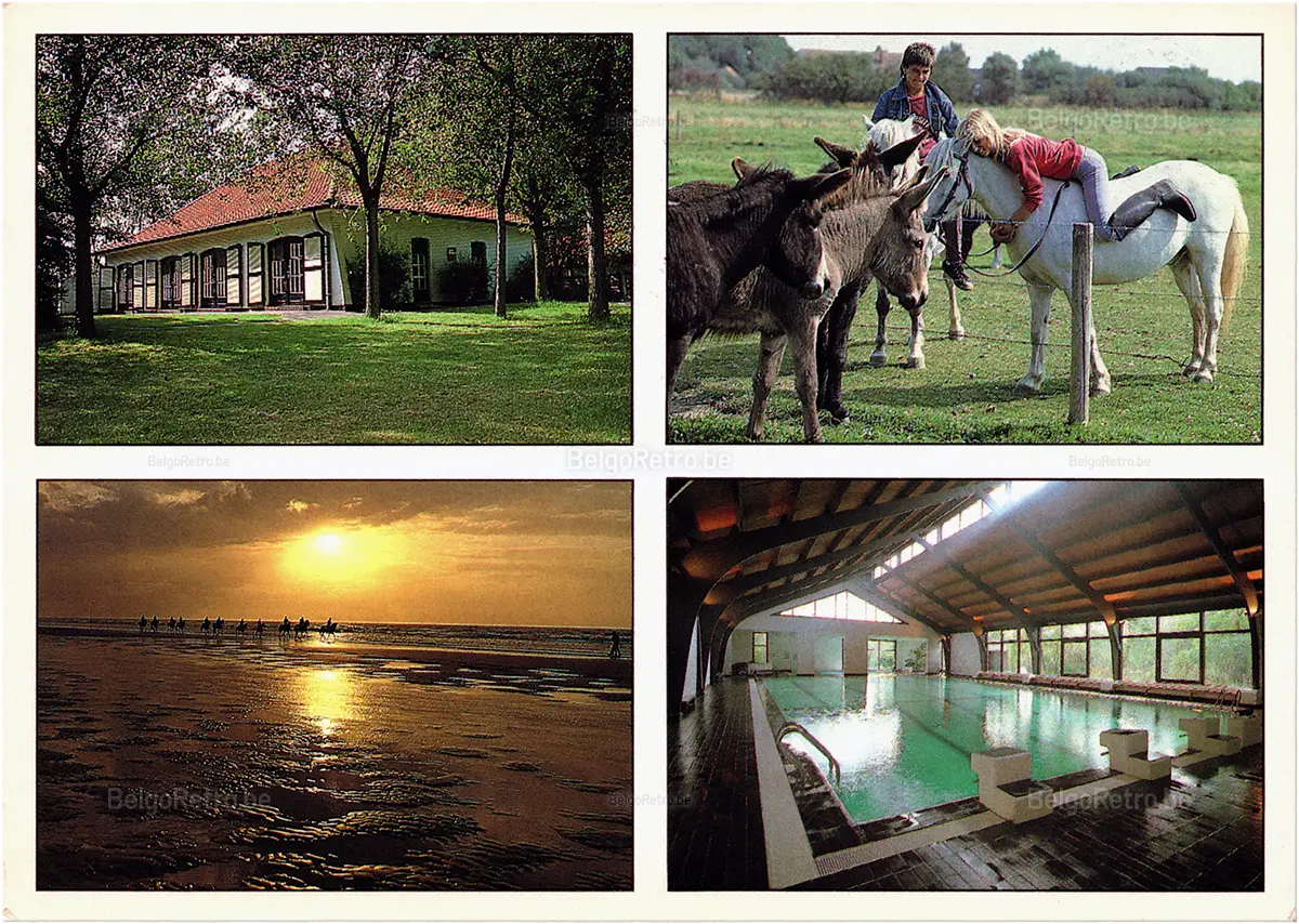  Zon en Zee zon en zee Vakantiestraat 1 8440 Middelkerke-Westende tel. 058/23 50 51   