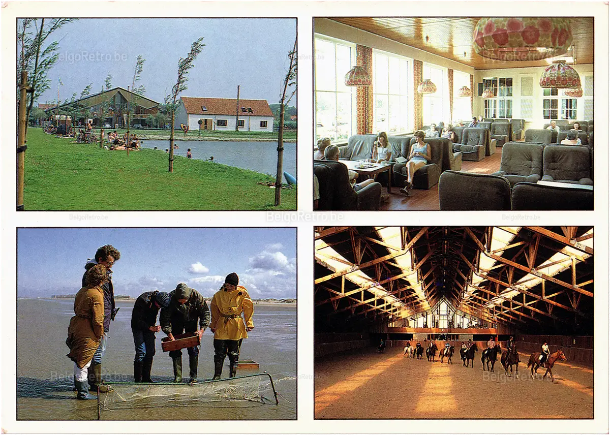  Zon en Zee zon en zee Vakantiestraat 1 8440 Middelkerke-Westende tel. 058/23 50 51   